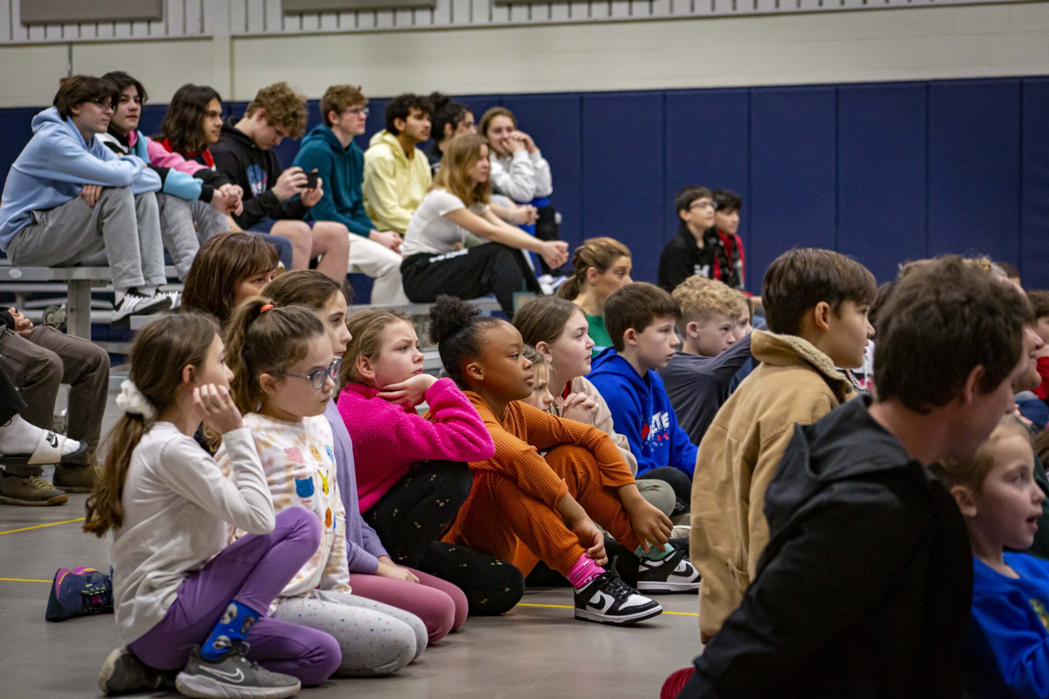 Shakespeare in Schools St. Louis Shakespeare Festival